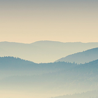 在线短信轰炸测试