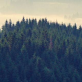 短信轰炸免费在线网站