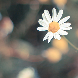 一秒发1000条手机号的软件