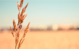 一秒发1000条手机号的软件